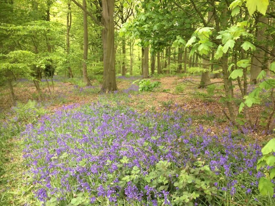 Beck Hill Cottage In Brandsby ヨーク エクステリア 写真
